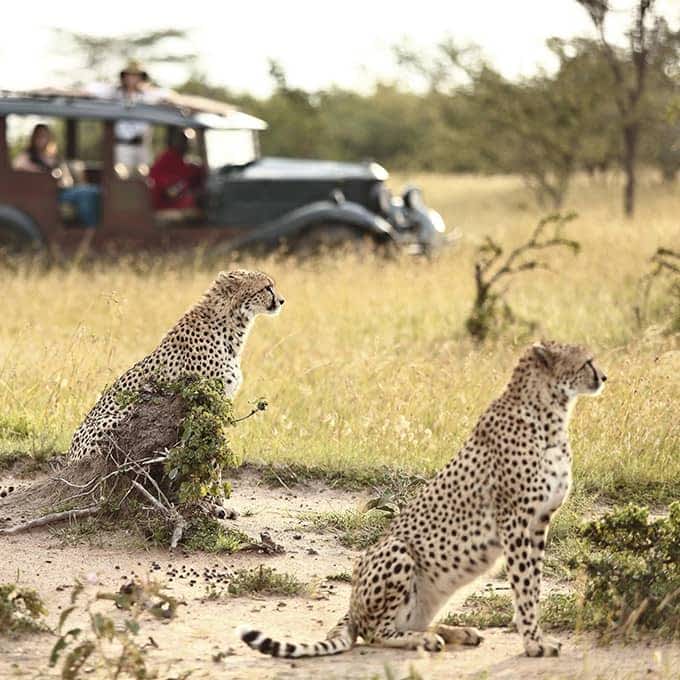 Rhino Experience